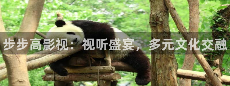 浮力影院永久地址：步步高影视：视听盛宴，多元文化交融
