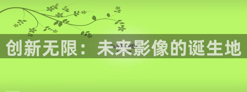 浮力影院最新地址：创新无限：未来影像的诞生地