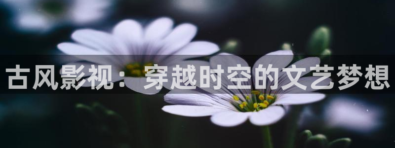 浮力操操影院：古风影视：穿越时空的文艺梦想