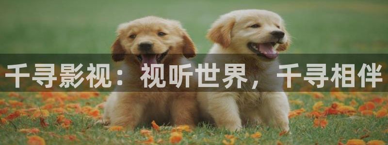 浮力限制影院