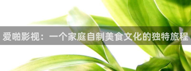 浮力影院永久地址：爱啪影视：一个家庭自制美食文化的独特旅程