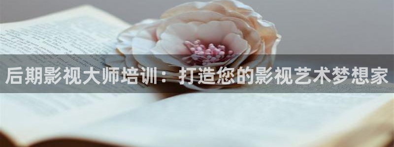 电影浮力影院：后期影视大师培训：打造您的影视艺术梦想家